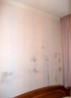 ремонт квартир в Климовске
